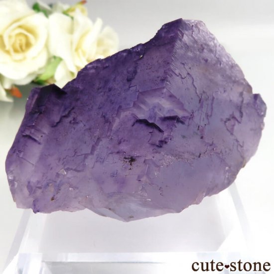 Υ Denton Mine ѡץߥ֥롼ե饤Ȥθ No.7μ̿1 cute stone