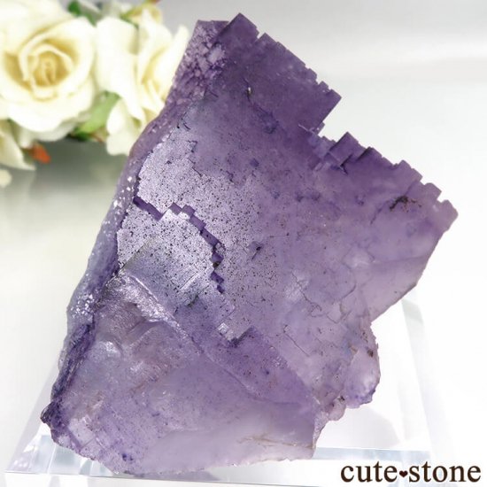 Υ Denton Mine ѡץߥ֥롼ե饤Ȥθ No.7μ̿2 cute stone
