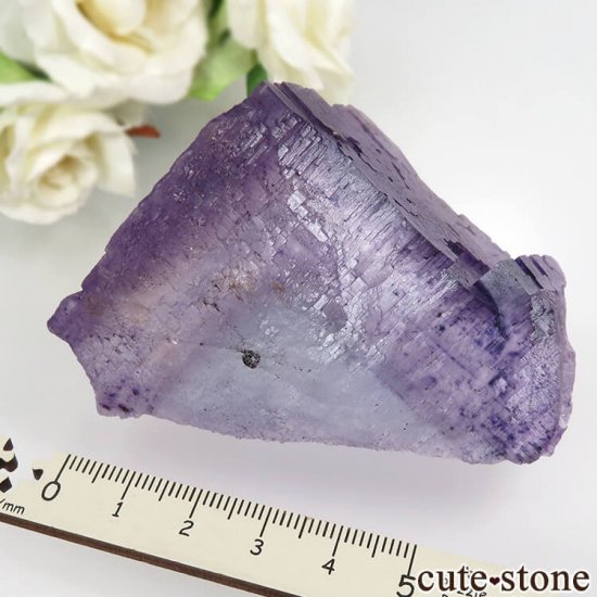 Υ Denton Mine ѡץߥ֥롼ե饤Ȥθ No.7μ̿6 cute stone