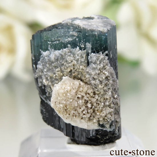 ѥ ɥ Chamacho mine ֥롼ȥޥη뾽 No.12μ̿0 cute stone