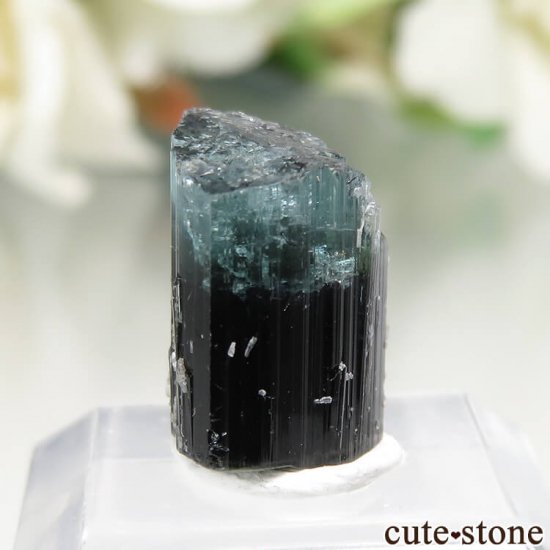 ѥ ɥ Chamacho mine ֥롼ȥޥη뾽 No.13μ̿2 cute stone