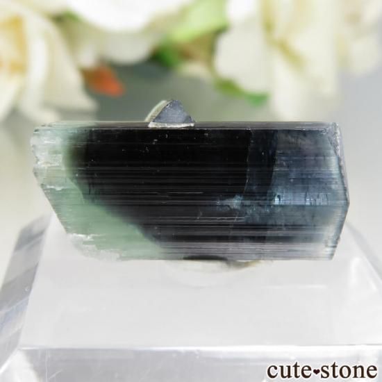 ѥ ɥ Chamacho mine ֥롼ߥ꡼ȥޥη뾽 No.14