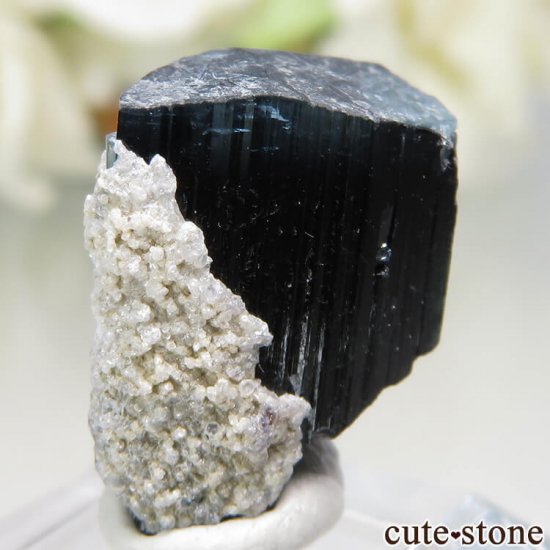 ѥ ɥ Chamacho mine ֥롼ȥޥη뾽 No.15μ̿1 cute stone