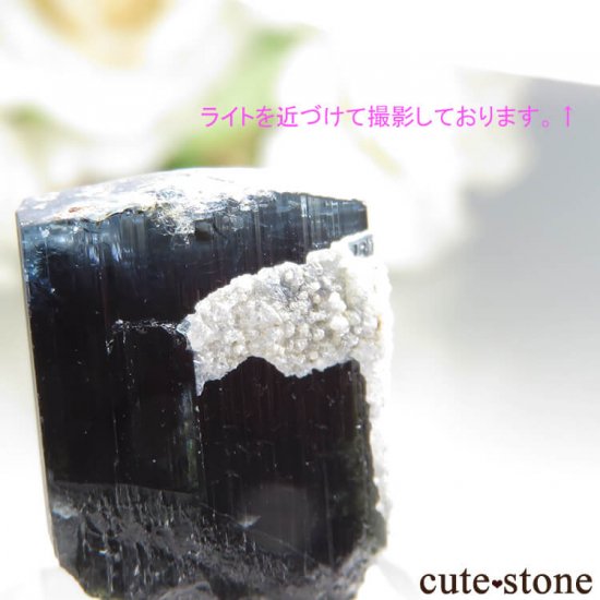 ѥ ɥ Chamacho mine ֥롼ȥޥη뾽 No.15μ̿2 cute stone