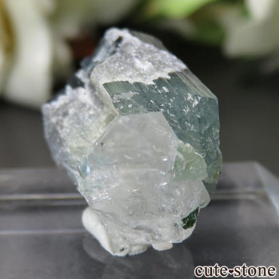 ѥ ɥ Chamacho mine ֥롼ߥ꡼ȥޥĤθ No.19μ̿0 cute stone