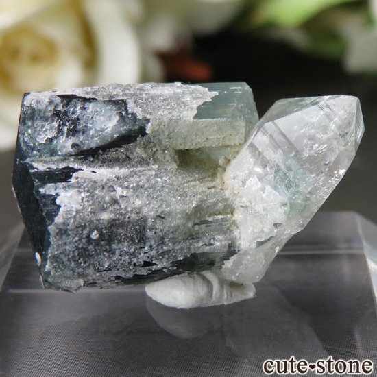 ѥ ɥ Chamacho mine ֥롼ߥ꡼ȥޥĤθ No.19μ̿1 cute stone