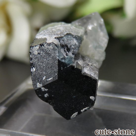 ѥ ɥ Chamacho mine ֥롼ߥ꡼ȥޥĤθ No.19μ̿2 cute stone