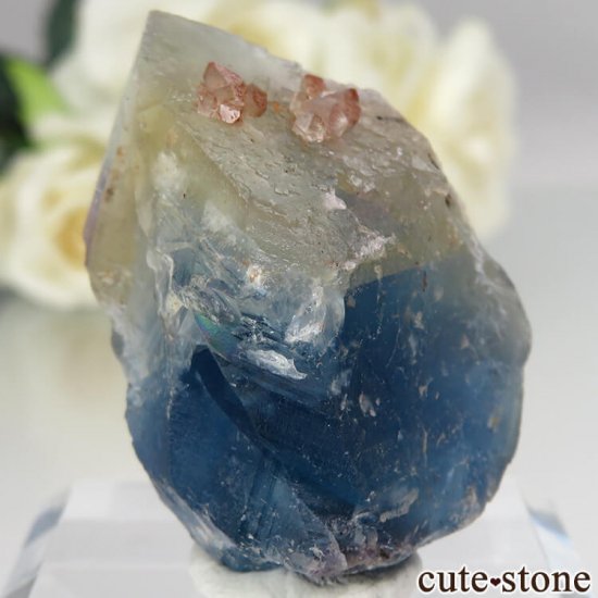 ե Baerenbach ߥ֥롼ե饤ȡĤθ No.6μ̿1 cute stone