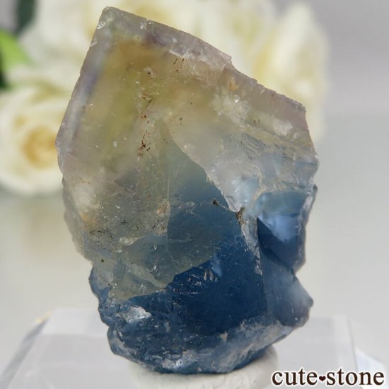 ե Baerenbach ߥ֥롼ե饤ȡĤθ No.6μ̿3 cute stone