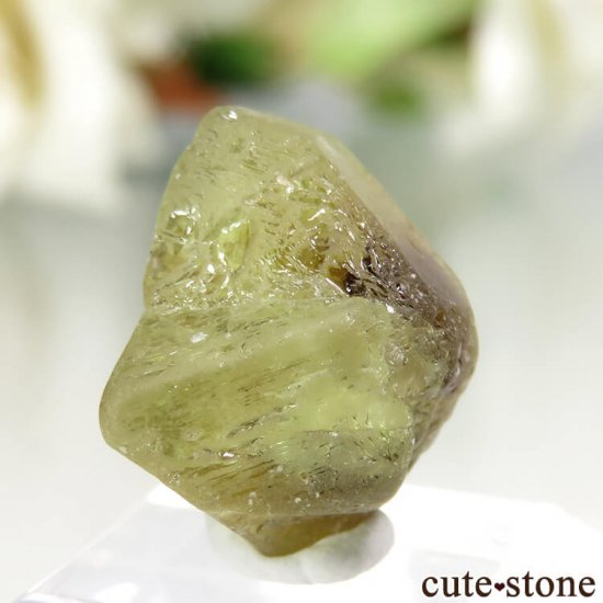 ֥饸 ߥʥ饤 ꥽٥θ No.5μ̿0 cute stone
