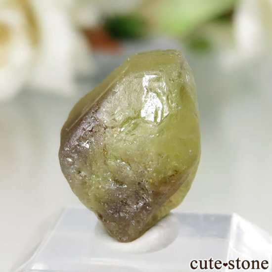 ֥饸 ߥʥ饤 ꥽٥θ No.5μ̿2 cute stone
