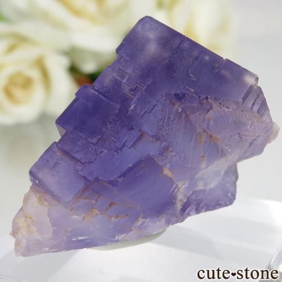 ڥ Berbes Cabana ѡץե饤Ȥθ No.17μ̿1 cute stone