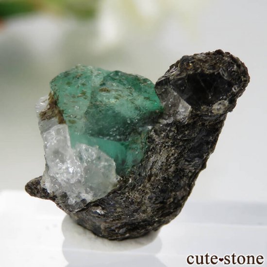 ե˥ Panjshir ɤդ No.5μ̿1 cute stone