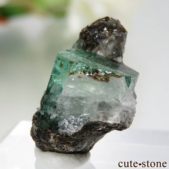 アフガニスタン Panjshir産 エメラルドの母岩付き原石 No.5 - cute stone -
