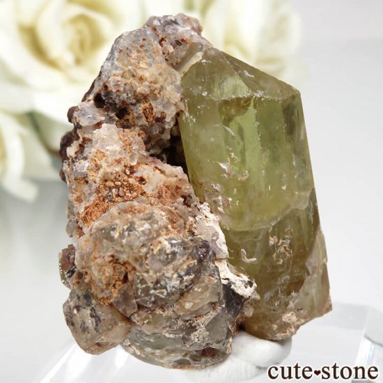 ᥭ Durango ե륪ѥȤդ No.7μ̿0 cute stone