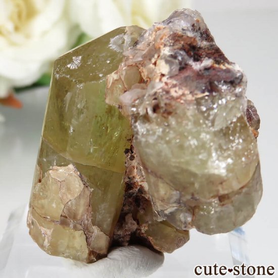 ᥭ Durango ե륪ѥȤդ No.7μ̿2 cute stone