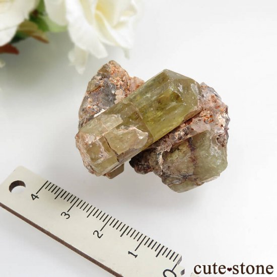 ᥭ Durango ե륪ѥȤդ No.7μ̿4 cute stone
