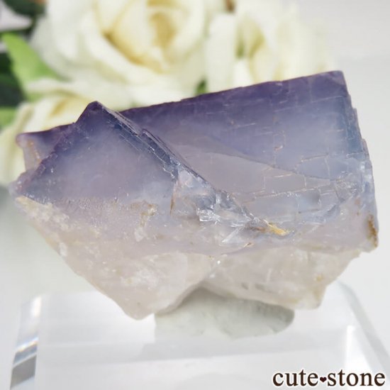ѥ Х󽣻 ѡץե饤Ȥθ No.8μ̿1 cute stone