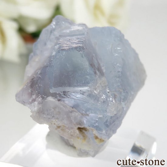 ѥ Х󽣻 ֥롼ե饤Ȥθ No.9μ̿0 cute stone