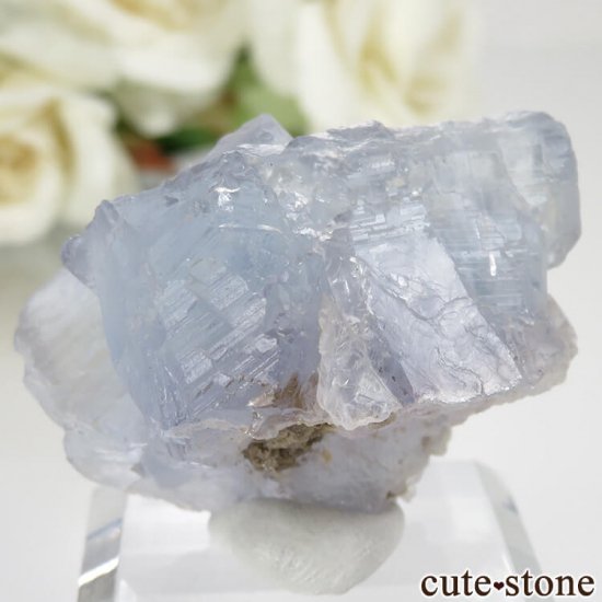 ѥ Х󽣻 ֥롼ե饤Ȥθ No.9μ̿1 cute stone