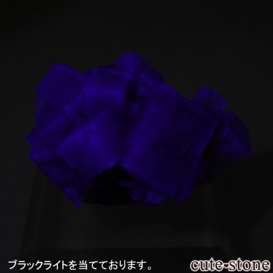 ǥʥ٥ Purple Rain Pocket ե饤Ȥθ No.1μ̿4 cute stone