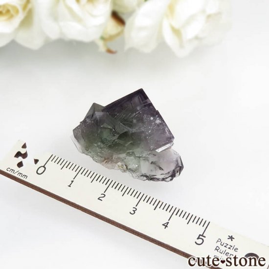 ǥʥ٥ Purple Rain Pocket ե饤Ȥθ No.2μ̿4 cute stone