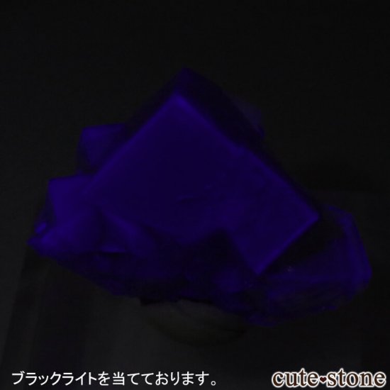 ǥʥ٥ Purple Rain Pocket ե饤Ȥθ No.2μ̿5 cute stone