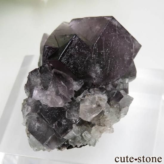 ǥʥ٥ Purple Rain Pocket ե饤Ȥθ No.3μ̿1 cute stone