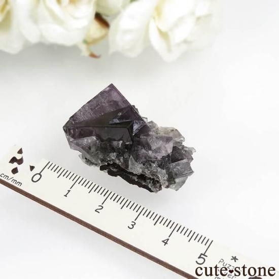 ǥʥ٥ Purple Rain Pocket ե饤Ȥθ No.3μ̿3 cute stone