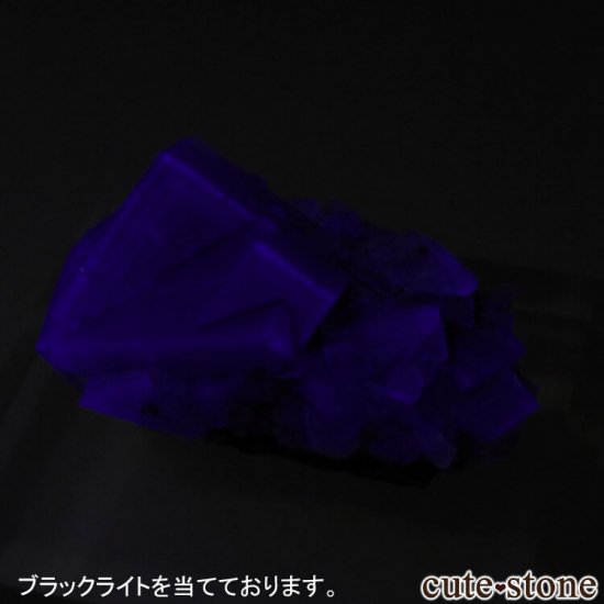 ǥʥ٥ Purple Rain Pocket ե饤Ȥθ No.3μ̿4 cute stone