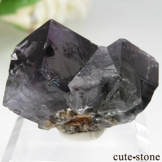 ǥʥ٥ Purple Rain Pocket ե饤Ȥθ No.4μ̿1 cute stone