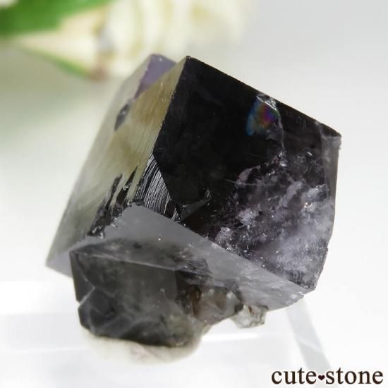 ǥʥ٥ Purple Rain Pocket ե饤Ȥθ No.4μ̿2 cute stone