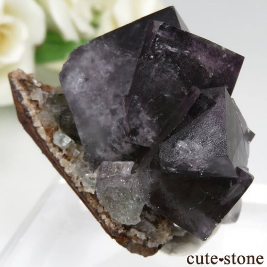 ǥʥ٥ Purple Rain Pocket ե饤Ȥθ No.5μ̿1 cute stone
