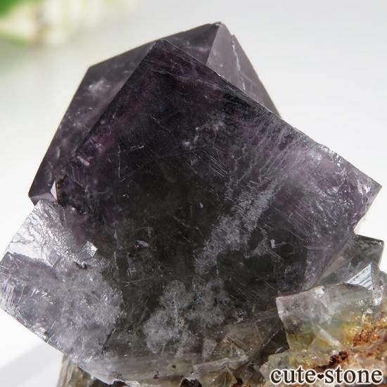ǥʥ٥ Purple Rain Pocket ե饤Ȥθ No.5μ̿3 cute stone
