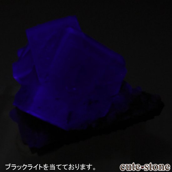 ǥʥ٥ Purple Rain Pocket ե饤Ȥθ No.5μ̿6 cute stone