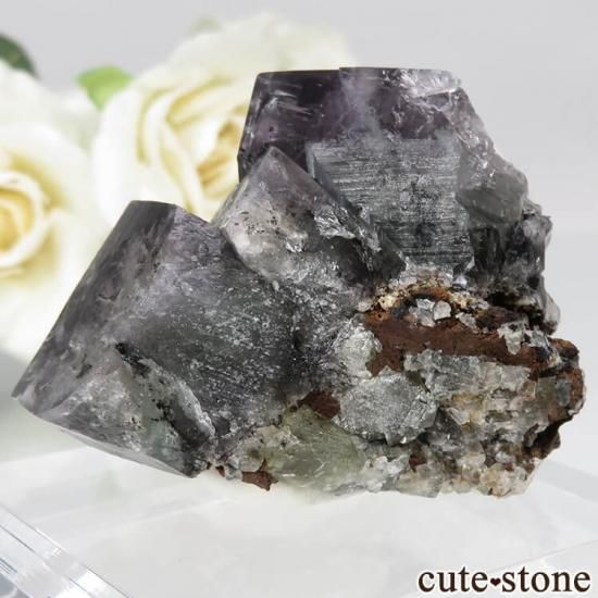 ǥʥ٥ Purple Rain Pocket ե饤Ȥθ No.7μ̿1 cute stone