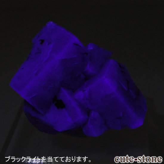 ǥʥ٥ Purple Rain Pocket ե饤Ȥθ No.7μ̿5 cute stone