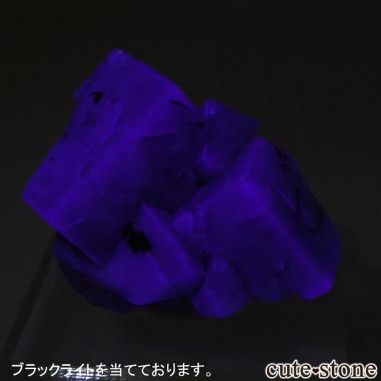 ǥʥ٥ Purple Rain Pocket ե饤Ȥθ No.7μ̿5 cute stone