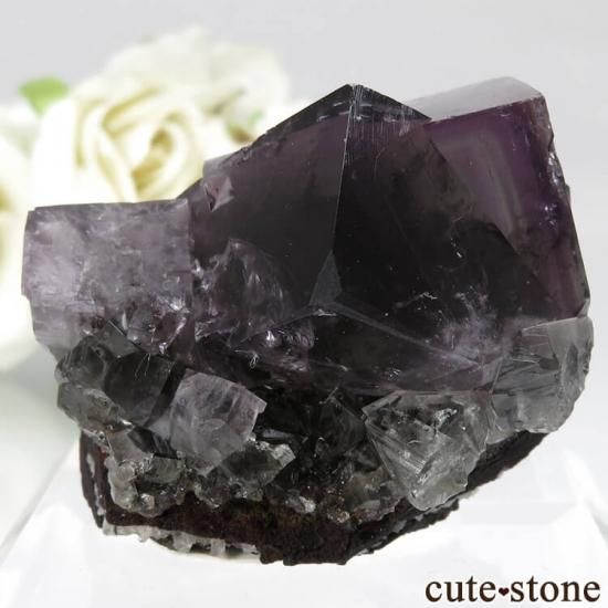 レディアナベラ Purple Rain Pocket産 フローライトの原石 No.8の写真1 cute stone