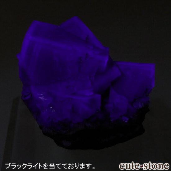 ǥʥ٥ Purple Rain Pocket ե饤Ȥθ No.8μ̿5 cute stone