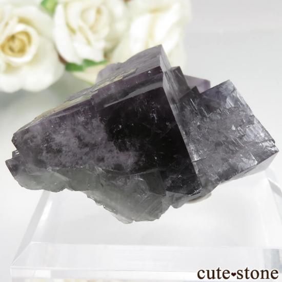 ǥʥ٥ Purple Rain Pocket ե饤Ȥθ No.9μ̿0 cute stone