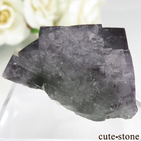 ǥʥ٥ Purple Rain Pocket ե饤Ȥθ No.9μ̿1 cute stone