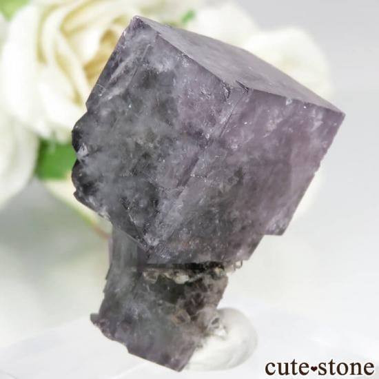 ǥʥ٥ Purple Rain Pocket ե饤Ȥθ No.11μ̿1 cute stone