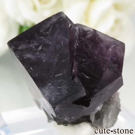 ǥʥ٥ Purple Rain Pocket ե饤Ȥθ No.12μ̿0 cute stone