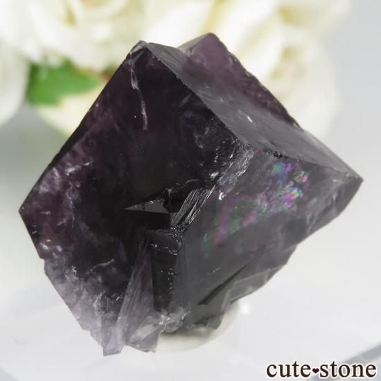 ǥʥ٥ Purple Rain Pocket ե饤Ȥθ No.12μ̿1 cute stone