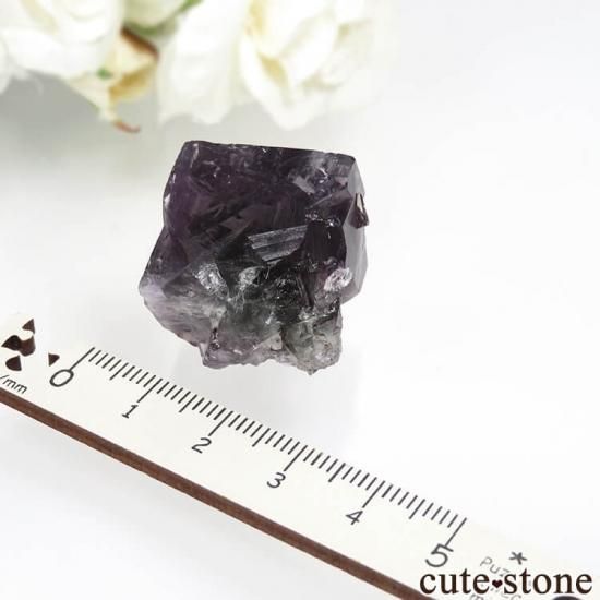 ǥʥ٥ Purple Rain Pocket ե饤Ȥθ No.12μ̿2 cute stone