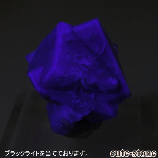 ǥʥ٥ Purple Rain Pocket ե饤Ȥθ No.12μ̿3 cute stone