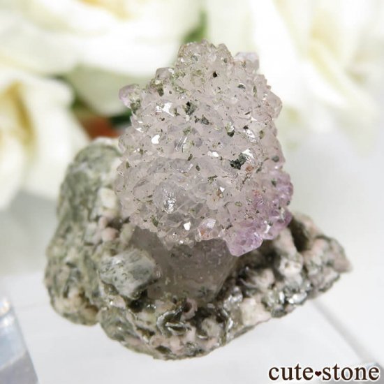  롼뻺 饤ȥ顼᥸Ȥθ No.1μ̿0 cute stone