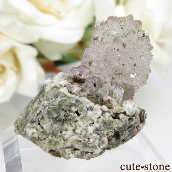  롼뻺 饤ȥ顼᥸Ȥθ No.1μ̿1 cute stone