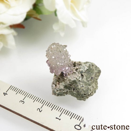  롼뻺 饤ȥ顼᥸Ȥθ No.1μ̿2 cute stone